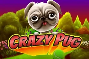 Crazy Pug