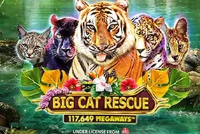 Big Cat Rescue Megaways